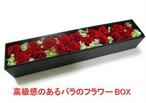 vU[uht[ {bNX p[eB[ LOi җj t[{bNX ԃo a LO v|[Y LO v[g  Mtg vU[uh j  ސEj j