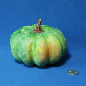 ʎ ڂAWAiAWAGݔ̔BCDSHOP