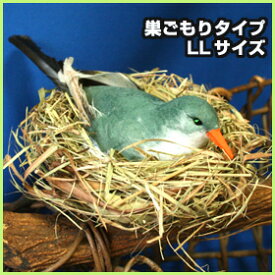 ミニチュアバード巣ごもりタイプ・グレー・大きなLLサイズ装飾用小鳥のオブジェ飾り付け用品小鳥の置物