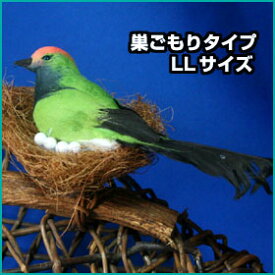 ミニチュアバード巣ごもりタイプ・緑系・大きなLLサイズ装飾用小鳥のオブジェ飾り付け用品小鳥の置物