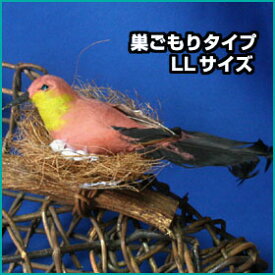 ミニチュアバード巣ごもりタイプ・赤茶色・大きなLLサイズ装飾用小鳥のオブジェ飾り付け用品小鳥の置物