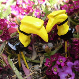 黄色と黒の南国鳥のガーデンピック3個セット植木鉢を可愛く演出ガーデングッズ・オブジェ
