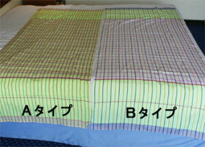 DȂ̐nCG[zCgFnAWAGݔ̔[֑Ήi