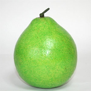 썑t[ciʕ@\I[yԁzAWAGݔ̔