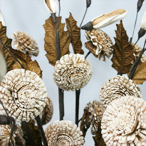 ^CԁiVRfށjCeA@t[ԕك^CvԔ̔{P