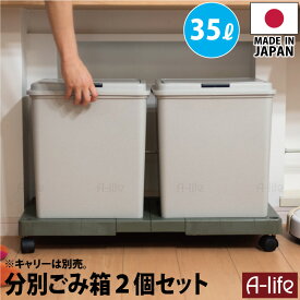 ゴミ箱 35L 2個 日本製 JAPAN フタ付き キッチン 分別 スリム 分別ごみ箱 35リットル リサイクル リサイクルボックス ダストボックス 洗える ごみ箱 キッチン収納 シンプル おしゃれ a-life エーライフ