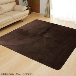 ���O �J�[�y�b�g �w�t�����x �u���E�� ��130×185cm(�z�b�g�J�[�y�b�g�Ή�) 9810212�y���������z