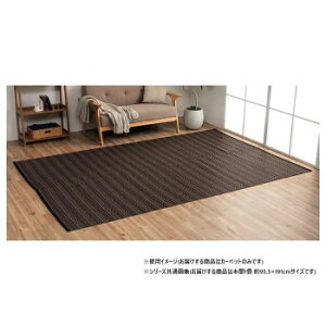 ���{�� �_�C�j���O���O ���ۃX�v���[ �u���E�� �{��1�� ��95.5×191cm 1090031061502�y���������z