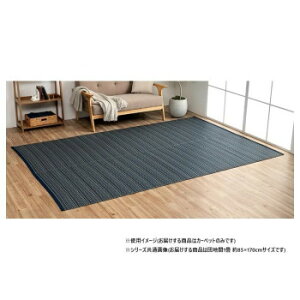 ���{�� �􂦂邢�����J�[�y�b�g �l�C�r�[ �c�n��1�� ��85×170cm 1090031190102�y���������z