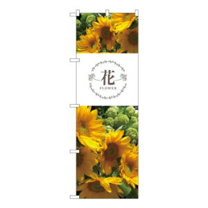 yGg[ŁSi|Cg5{z N̂ڂ@ Ђ܂ KMN@W600×H1800mm@81813yz