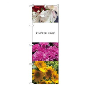 yGg[ŁSi|Cg5{z N̂ڂ@ t[^ KMN@W600×H1800mm@81815yz