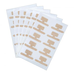 ܃_uPAe[v@60yz [֑Ήi