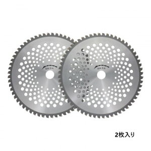 �y�G���g���[�Ł��S�i�|�C���g5�{���z sita�R�щ����`�b�v�\�[2���g�@255×60P�@2ST-255�@004895�y���������z