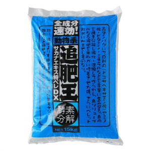 yGg[ŁSi|Cg5{z 썇엿@L@z엿@TJiGLXyDX@15kgyz