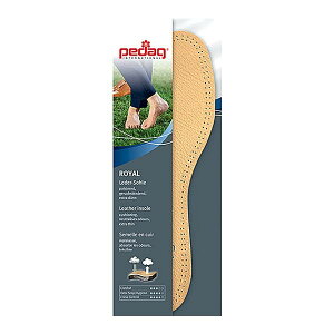 Pedag(y_bN) C Art.102 40TCYyz