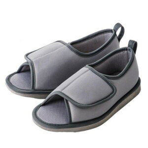 | ]|\hV[Y ܐȂ M@O[E091303yz