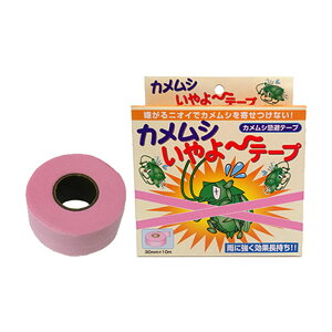 �y�G���g���[�Ł��S�i�|�C���g5�{���z �J�����V�����`�e�[�v�y���������z