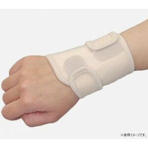 | \tEt@[TFCC@x[W@t[E037820yz [֑Ήi