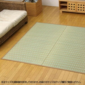 �|��D �������O�J�[�y�b�g �w�_��x �x�[�W�� �{��3��(��191×286cm) 4415113�y���������z