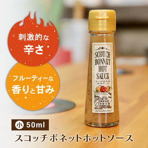 zbg\[X XRb`{lbg 50ml Pi  Mtg h  \[X Lb` ɂɂ Gr} \[X [Xgr[t yO  sU pX^ o[xL[ `L BBQ 
