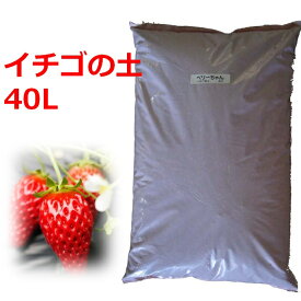 【送料無料】 イチゴの苗づくり専用培養土 40L 1袋 2袋 4袋 土 いちご 苗 育苗 ポット
