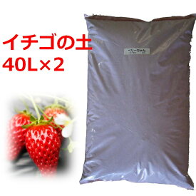 【送料無料】 イチゴの苗づくり専用培養土 40L 2袋セット 土 いちご 苗 育苗 ポット