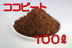 yz RRibcs[g 100L y oEu[x[̃}`O ܂ } k͔| VK s[gX̑