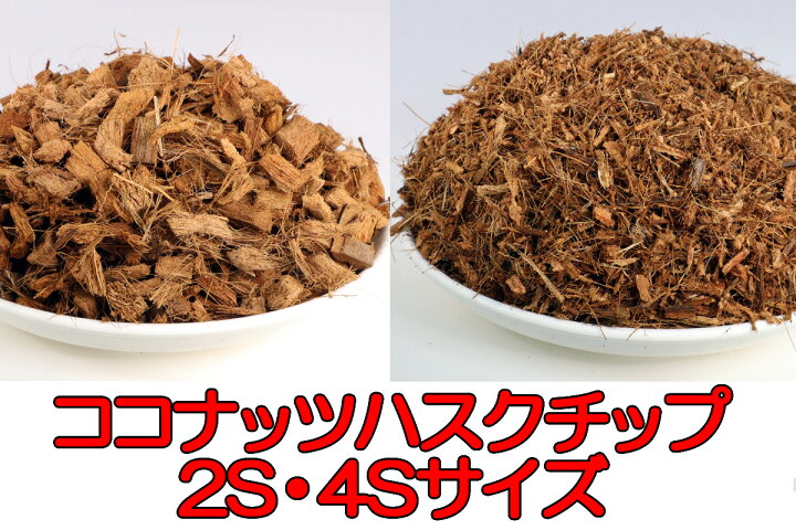楽天市場】【送料無料】 ココナッツハスクチップ 2S 4S 容量いろいろ 