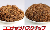 楽天市場】爬虫類 ココチップの通販