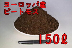 yz s[gX 150L@u[x[ _yDސA yǍ 