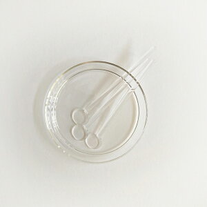 Trendglas JENA ghOX CGi }h[ 14cm 18cm hCc KXXeBbN KX_ 킢 