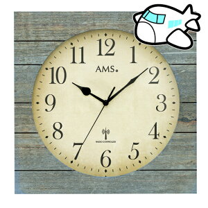 AMS |v hCc g lp  AMS5549 [1x@(YM-AMS5549)