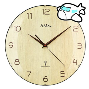 AMS |v hCc i` ی^ Vv m AMS5557 [1x@(YM-AMS5557)