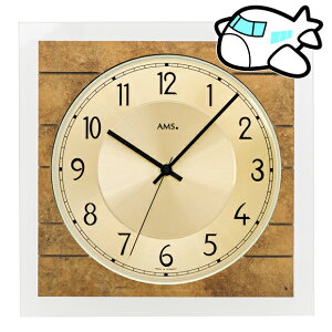 AMS |v hCc 25cm ^ lp rO AMS5563 [1x@(YM-AMS5563)