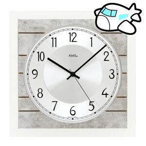 AMS |v hCc 25cm ^ lp rO AMS5564 [1x@(YM-AMS5564)