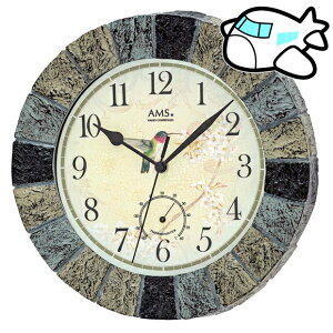 hCc AMS |v xv xv [1x (YM-AMS5979)