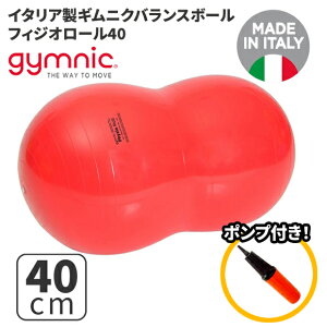 MjN oX{[ tBWI[40 40cm Physio Roll (GY88-01) GNTTCY K {[ seBX y  z