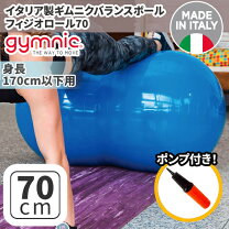 楽天市場】フィジオロール 70cmの通販