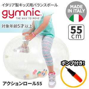 MjN oX{[ ANV[55 55cm Physio Activiry Roll (GY88-05) GNTTCY K {[ seBX y  z