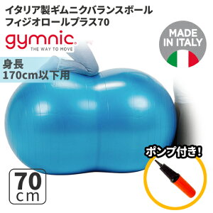 MjN oX{[ tBWI[ vX70 70cm Physio Roll Plus (GY88-13) GNTTCY K {[ seBX y  z