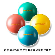 ギムニク バランス ボール ニュー ソフトギムニク ソフトジム 表面がツルツルタイプ New Softgymnic エク…