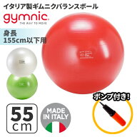 ギムニク バランス ボール ストレッチ ボール ギムニクプラス PLUS 55 ギムニク 55cm レッド 95.28 ライ…
