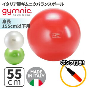 MjN oX {[ Xgb` {[ MjNvX PLUS 55 MjN 55cm bh 95.28 CO[ 95.39 p[ tBbg{[ 95.05 (GY95-28) GNTTCY K {[ seBX