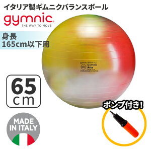 バランスボール 65cmの人気商品 通販 価格比較 価格 Com