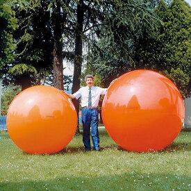 ギムニク バランスボール ギムニクボール120 フィジオギムニク 120cm オレンジ (GY95-98) エクササイズ ヨガ ボール ピラティス 【 送料無料 】