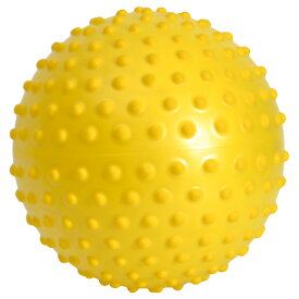 ギムニク バランスボール 触覚ボール センシーボール 28cm Sensyball 28 (GY97-52) エクササイズ ヨガ ボール ピラティス