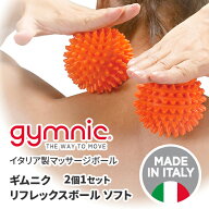 ギムニク バランス ボール リフレックス ボール ソフト 8cm 2個セット 97.63 ギムニクボール リフレック…