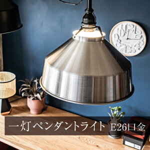 Ɩ 1 y_gCg A~VFCh Cg XNGA AMP-L031 A~ VƖ ݉ JtF Lb` rO _CjO CeA C_XgA (EL-AMP-L031)