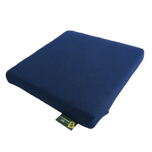 ハイブリッドクッション 日本将棋連盟推薦品 小さめ クッション ミニ座布団 ざぶとん オンエア