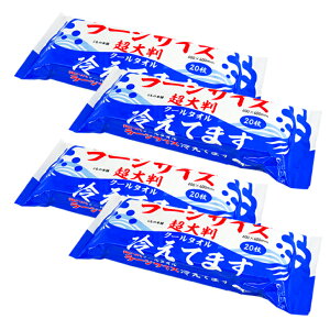 唻 N[^I ₦Ă܂ 20×4Zbg [WTCY 600×400mm {fBp N[^Cv g[z N[{fBV[g X|[c AEghA ҏ΍ ЊQpi hЗpi 